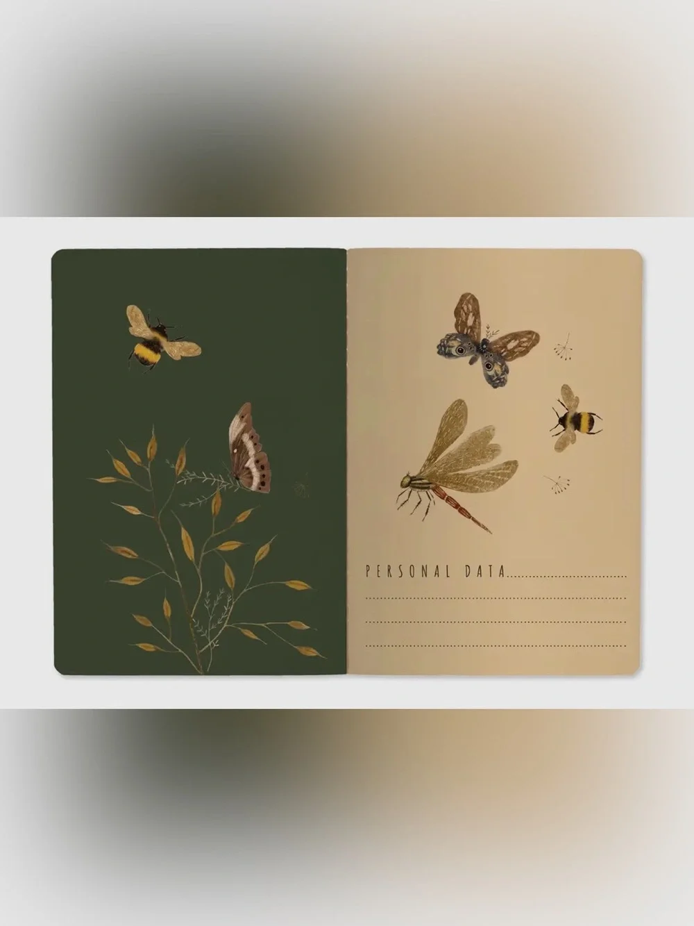 BV By Bruno Visconti charming pack